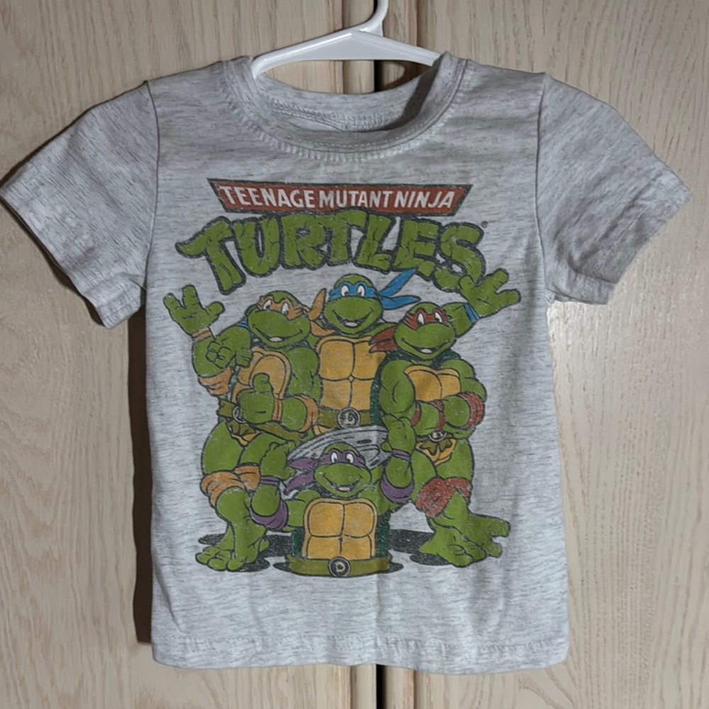 Teenage Mutant Ninja Turtles Kids Grey T-Shirt